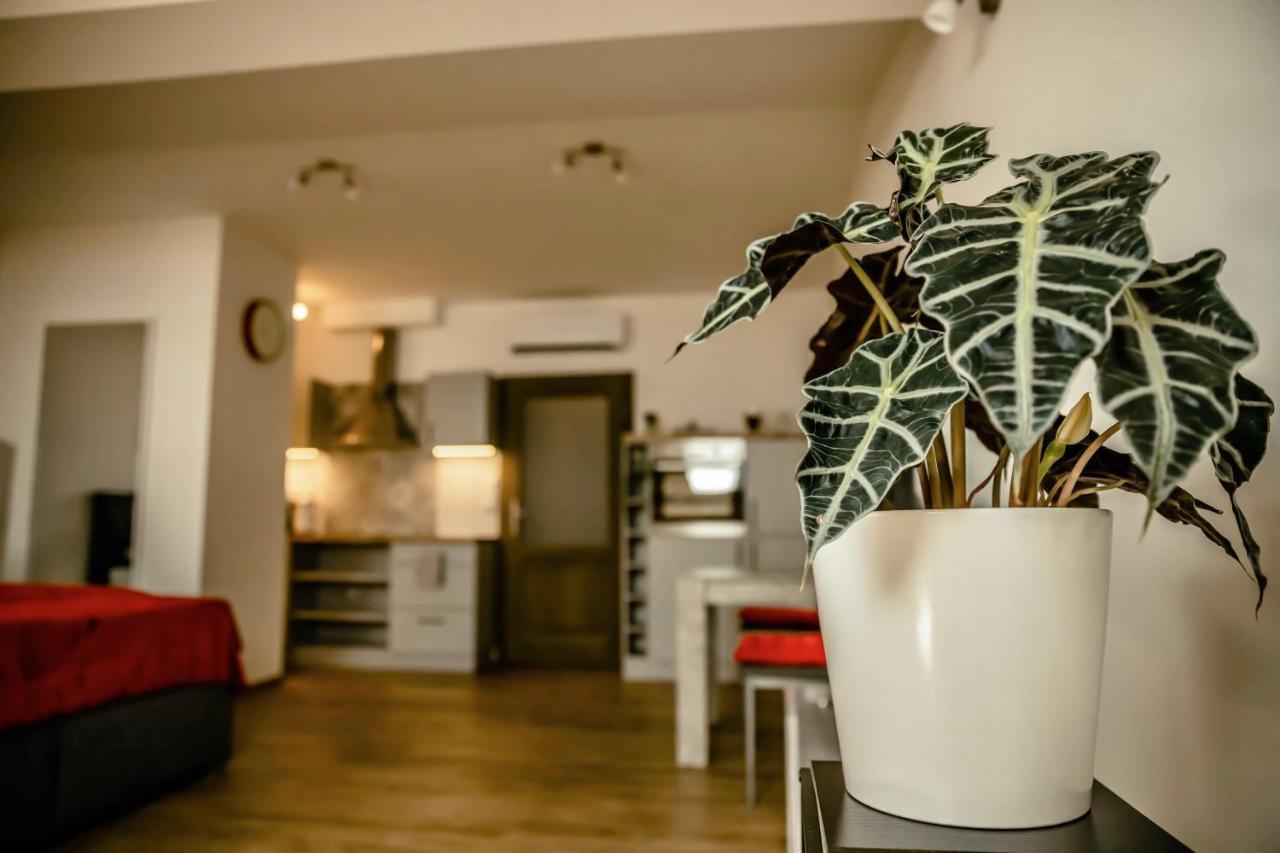 Podkrovni Studio Na Velkem Namesti S Wi-Fi Zdarma Hradec Králové 외부 사진